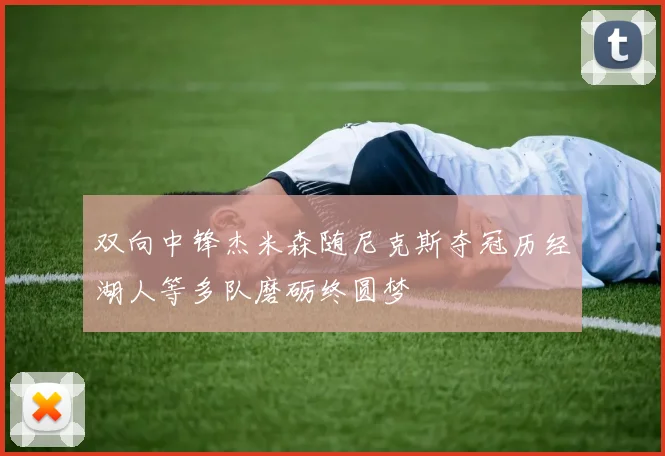 双向中锋杰米森随尼克斯夺冠历经湖人等多队磨砺终圆梦